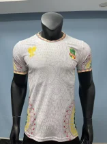 Mali Home player  1:1 Quality Soccer Jersey   25-26