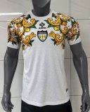 Sorrento Away Fans 1:1 Quality Soccer Jersey 25-26