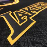 Los Angeles Lakers Kobe #8 #24 BRYANT  Black  snake pattern  NBA Jersey