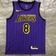 Los Angeles Lakers Kobe #8 BRYANT  Purple stripe NBA Jersey 2018