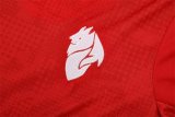 AC Training  Fans Kits  1:1 Quality Soccer Jersey 25-26 (Kids And Man )