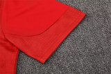 AC Training  Fans Kits  1:1 Quality Soccer Jersey 25-26 (Kids And Man )
