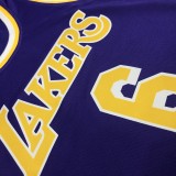 Los Angeles Lakers   purple 6 James  round neck  Flying Man Limited NBA Jerseys
