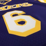 Los Angeles Lakers purple 6 James  V-neck   NBA Jerseys