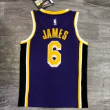 Los Angeles Lakers   purple 6 James  round neck  Flying Man Limited NBA Jerseys