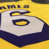 Los Angeles Lakers yellow V-Neck  6 JAMES NBA Jerseys