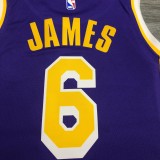 Los Angeles Lakers   purple 6 James  round neck  Flying Man Limited NBA Jerseys