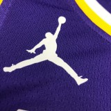 Los Angeles Lakers   purple 6 James  round neck  Flying Man Limited NBA Jerseys