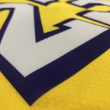 Los Angeles Lakers yellow V-Neck  23 JAMES NBA Jerseys