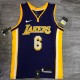 Los Angeles Lakers purple 6 James  V-neck   NBA Jerseys