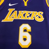 Los Angeles Lakers purple 6 James  V-neck   NBA Jerseys
