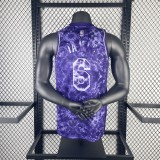 Los Angeles Lakers  Purple Honor Edition 6 James  round neck  NBA Jerseys 2023