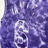 Los Angeles Lakers  Purple Honor Edition 6 James  round neck  NBA Jerseys 2023