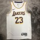 Los Angeles Lakers White 23 James  round neck  NBA Jerseys 2023