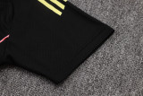 Juventus  Polo Fans  Black 1:1 Quality Soccer Jersey  25-26