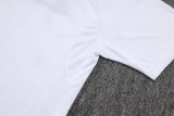 Germany  Polo Fans  White 1:1 Quality Soccer Jersey  25-26