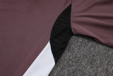 Manchester United Polo Fans Pruple 1:1 Quality Soccer Jersey  25-26