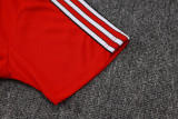 Liverpool Polo Fans  Red 1:1 Quality Soccer Jersey  25-26