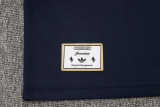 Juventus  Polo Fans Back 1:1 Quality Soccer Jersey  25-26
