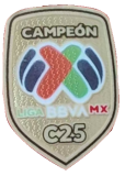 Toluca Special Edition player 1:1 Quality Soccer Jersey   25-26