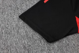 Bayern Munich Polo Fans  Black  1:1 Quality Soccer Jersey  25-26