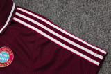 Bayern Munich Retro  Polo Fans  Red 1:1 Quality Soccer Jersey  25-26
