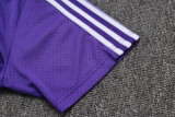 Real Madrid  Polo Fans Purple 1:1 Quality Soccer Jersey  25-26