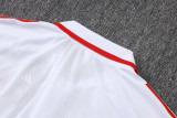 Bayern Munich Polo Fans  White 1:1 Quality Soccer Jersey  25-26