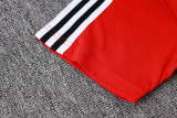 Flamenco  Polo Fans  Red 1:1 Quality Soccer Jersey  25-26