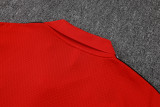 Liverpool Polo Fans  Red 1:1 Quality Soccer Jersey  25-26