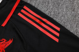 Liverpool Polo Fans  BlACK 1:1 Quality Soccer Jersey  25-26