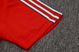 Manchester United Polo Retro Fans  Red 1:1 Quality Soccer Jersey  25-26