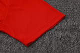 PSG Paris Polo Fans Red 1:1 Quality Soccer Jersey  25-26