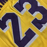 Los Angeles Lakers Yollow #23 JAMES  1:1 Quality NBA Jerseys  2025