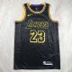 Los Angeles Lakers Kids Black  snake pattern #23 JAMES  1:1 Quality NBA Jerseys