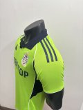 Fulham  Away  Player 1:1 Quality Soccer Jersey   25-26