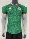 Mexico Home  player  1:1 Quality Soccer Jersey  26-27 (2026)