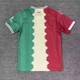 Liverpool Special Edition  Fans 1:1 Quality Soccer Jersey  25-26