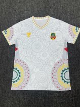 Mali  competition Before   Special Edition Fans   1:1 Quality Soccer Jersey   25-26