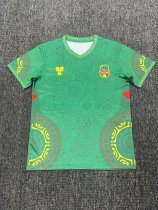 Mali  competition Before   Special Edition Fans   1:1 Quality Soccer Jersey   25-26