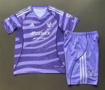 Tiger Special Edition Kids Purple  1:1 Quality Soccer Jersey 25-26