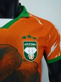 Ivory Coast Special Edition player  1:1 Quality Soccer Jersey   25-26