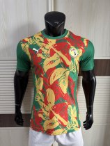 Senegal Special Edition player   1:1 Quality Soccer Jersey   25-26