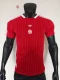 Bayern Munich  T-shirt Special Edition Player 1:1  25-26