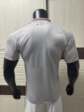 Olympique Lyonnais（OL）Third Away player 25-26  1:1 Quality Soccer Jersey