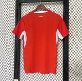 Switzerland Home Fans 1:1 Quality Soccer Jersey  26-27(2026)