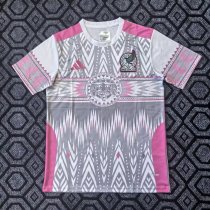 Mexico Special Edition Fans  1:1 Quality Soccer Jersey  25-26