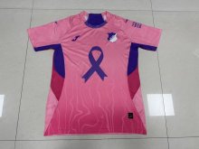 Hoffenheim Special Edition Fans 1:1 Quality Soccer Jersey  25-26