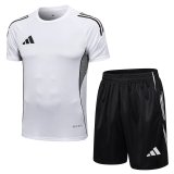 Adidas Clover Sets  White 1:1 Quality Soccer Jersey  25-26