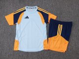 Adidas Clover Sets  Blue 1:1 Quality Soccer Jersey  25-26